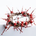 Crown of thorns with thorns and red drops of blood, isolated on white, close-up, Royalty Free Stock Photo