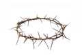 A crown of thorns on a white background. Conceptual phototo use in the design. A wreath of branches with thorns