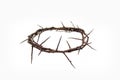 A crown of thorns on a white background. Conceptual phototo use in the design. A wreath of branches with thorns