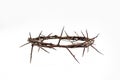 A crown of thorns on a white background. Conceptual phototo use in the design. A wreath of branches with thorns