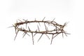 A crown of thorns on a white background. Conceptual phototo use in the design. A wreath of branches with thorns