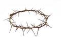 A crown of thorns on a white background. Conceptual phototo use in the design. A wreath of branches with thorns