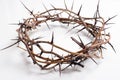 A crown of thorns on a white background - Easter. religion. Royalty Free Stock Photo