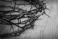 Crown of thorns Royalty Free Stock Photo