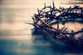 Crown of thorns Royalty Free Stock Photo