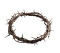 Crown of Thorns worn by Jesus Christ is a powerful easter symbol of his suffering and sacrifice isolated Transparent png thorny