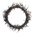 Crown of Thorns worn by Jesus Christ is a powerful Easter symbol of his suffering and sacrifice isolated Transparent png thorny