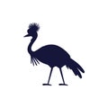 Crowned crane silhouette. Royalty Free Stock Photo