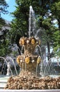 Crowning Fountain in the Summer Garden of St. Petersburg