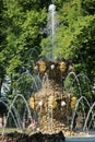 Crowning Fountain