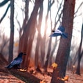 Crows in the fairy forest. Autumn wonderland. Square image.