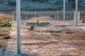 Crows sitting on the fence in the valley Royalty Free Stock Photo