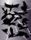 Crows in a storm