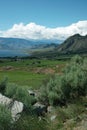 Crowsnest Highway View of Osoyoos BC Canada Royalty Free Stock Photo