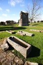 Croxden Abbey Grave