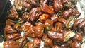 Overview of brown Habanero chocolate chili pepper