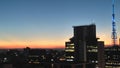 Skyline Sao Paulo city, sunset blue and yellow buildings