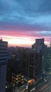 Skyline Sao Paulo city, sunset blue and yellow buildings