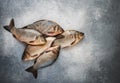 Crucians. Freshly caught raw fish on a gray concrete or stone background. Selective focus, top view and copy space