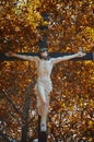 Crucifixion among trees Royalty Free Stock Photo