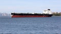 Crude Oil Tanker BRITISH REASON anchored in the Narrows, New York, NY, USA Royalty Free Stock Photo