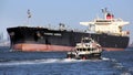 Crude Oil Tanker PHOENIX ADMIRAL, moving westward, and Survey Vessel MORITZ, eastward, at the entrance to Kill Van Kull strait