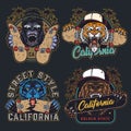 Cruel animals and skateboards colorful emblems