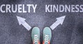 Cruelty and kindness as different choices in life - pictured as words Cruelty, kindness on a road to symbolize making decision and