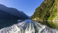 Milford Sound Cruise, South Island, New Zealand Royalty Free Stock Photo