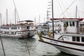 Cruise boats on Halong port, Vietnam Royalty Free Stock Photo