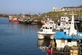 Cruise and fishing boats in Seahouses harbour