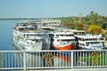 Cruise liners on the Nile River. Royalty Free Stock Photo