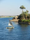 Cruise on the nile