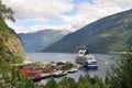 Cruise parked in a fjord at Ulvik in Norway