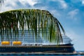 Cruise ship behind palm tree leaf in a Caribbean port of call