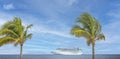 Cruise ship in Caribbean sea with palm tree on foreground. Landscape with big cruise liner Royalty Free Stock Photo