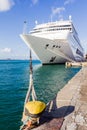 Cruise ship docked Royalty Free Stock Photo