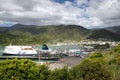 Cruise ship docked at one of the ports with multiple smaller ships