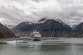 Cruise ship drifting in fjord with icebergs Royalty Free Stock Photo