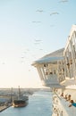 Cruise ship leaving port at Port Canaveral Orlando Florida and flock in the sky