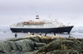 Cruise ship Marco Polo and Gentoo penguins (Pygoscelis papua) in Paradise Harbor, Antarctica Royalty Free Stock Photo