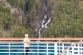 A cruise ship passenger viewing a waterfall in Alaska Royalty Free Stock Photo