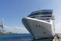 Cruise Ship in Port