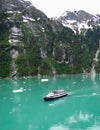 Cruise Ship in Tracy Arm Royalty Free Stock Photo