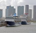 Cruise ships moored at the Port of Miami