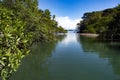 Cruise on the tropical river Tempisque. Costa Rica Royalty Free Stock Photo