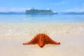 A cruiseship and a starfish