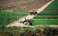 Cruising on the Nile River, the countryside, southern Egypt Royalty Free Stock Photo