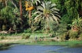 Cruising on the Nile River, the countryside, southern Egypt Royalty Free Stock Photo