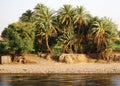 Cruising on the Nile River, the countryside, southern Egypt Royalty Free Stock Photo